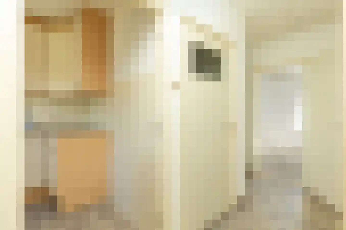 Teunenmijns 24 Laren thumbnail 8