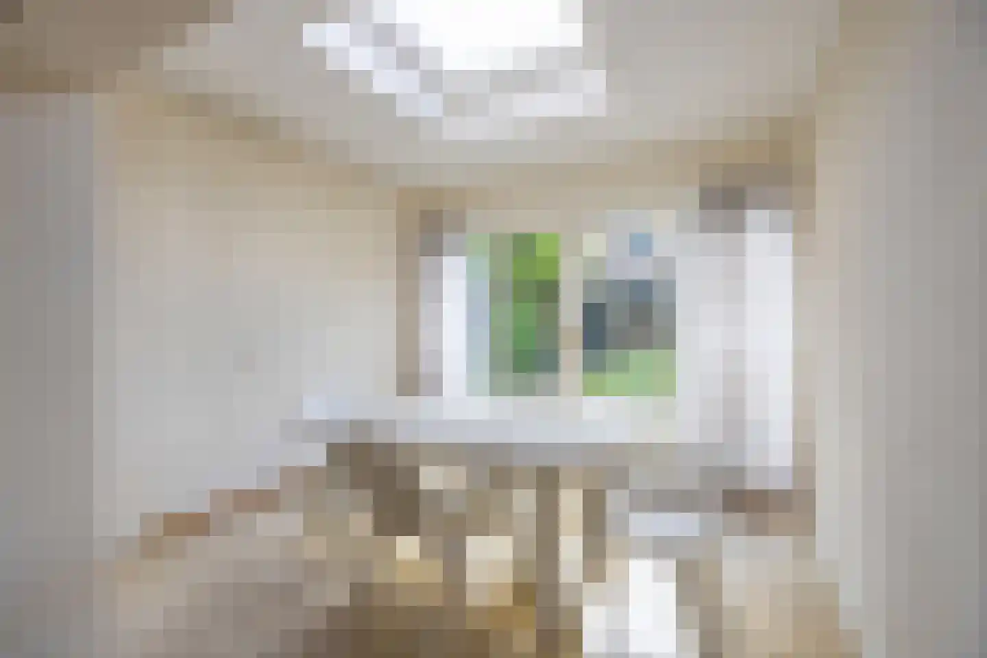 Teunenmijns 3 Laren thumbnail 10