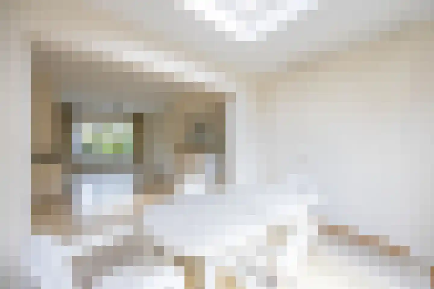 Teunenmijns 3 Laren thumbnail 11