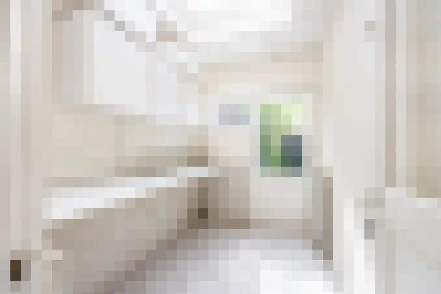 Teunenmijns 3 Laren thumbnail 17