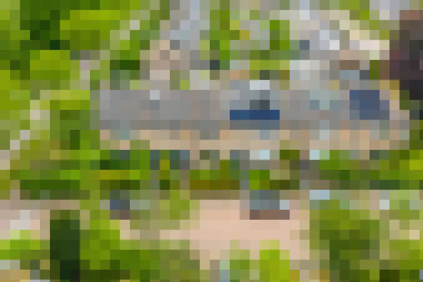 Teunenmijns 3 Laren thumbnail 38