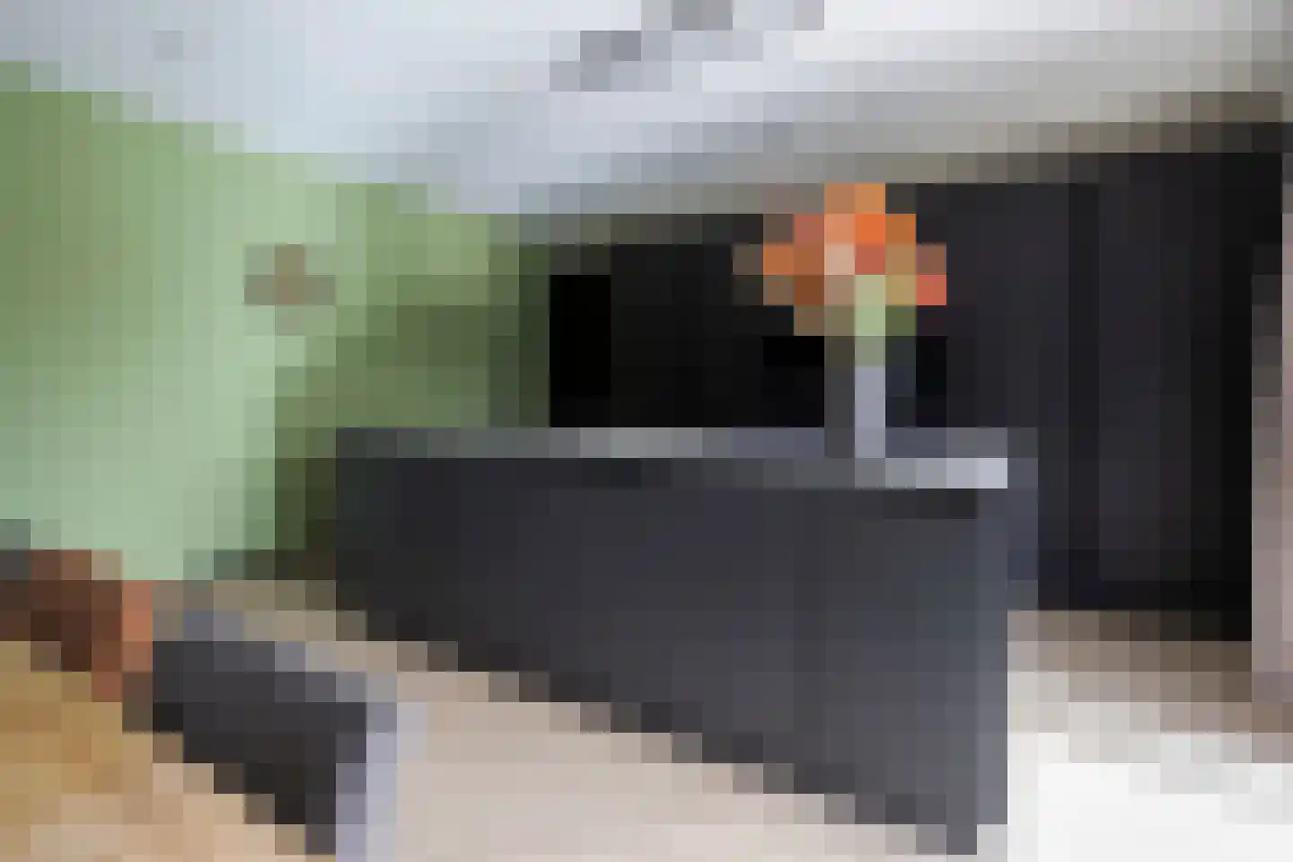 Teunestraat 2 Ell thumbnail 11