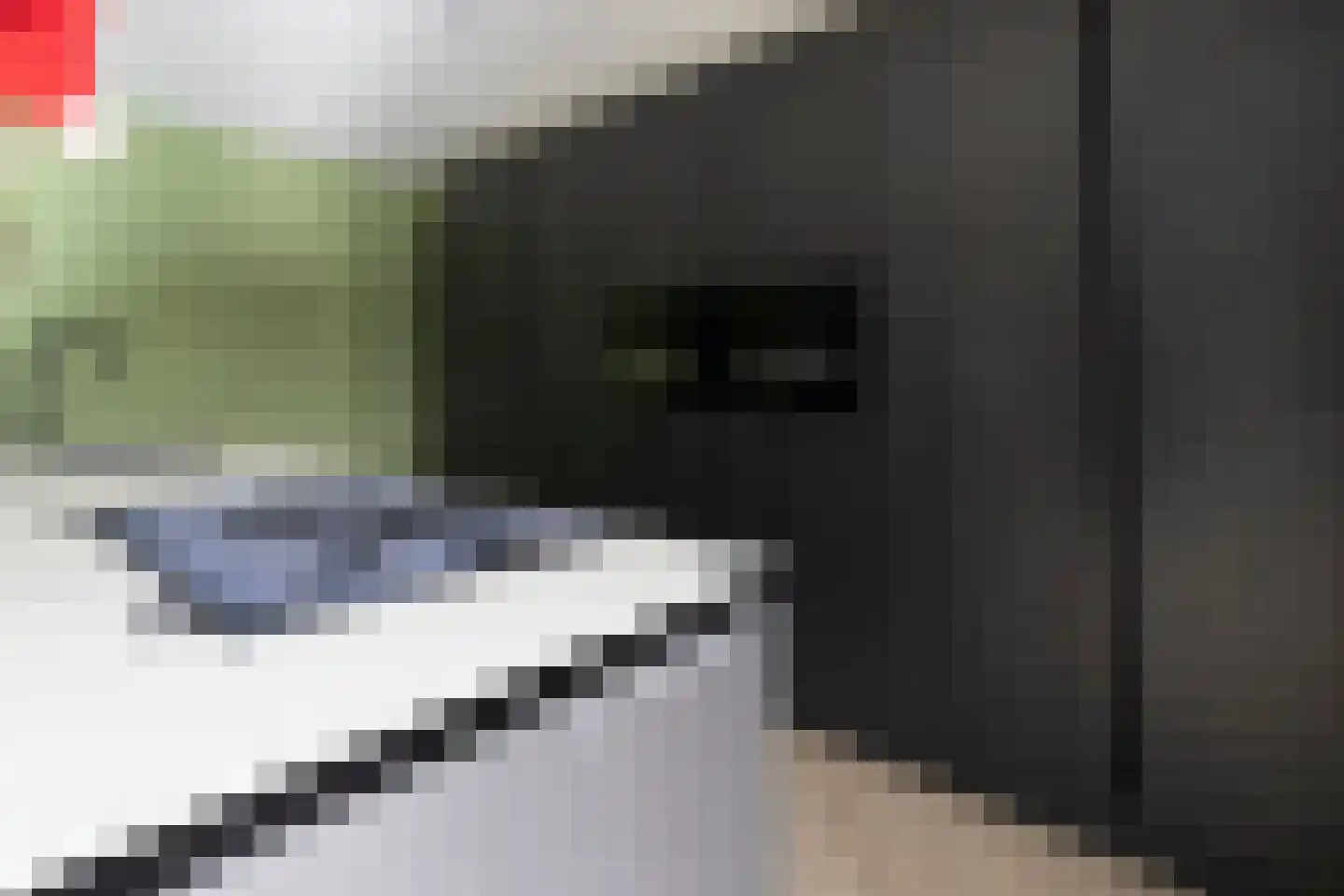 Teunestraat 2 Ell thumbnail 12