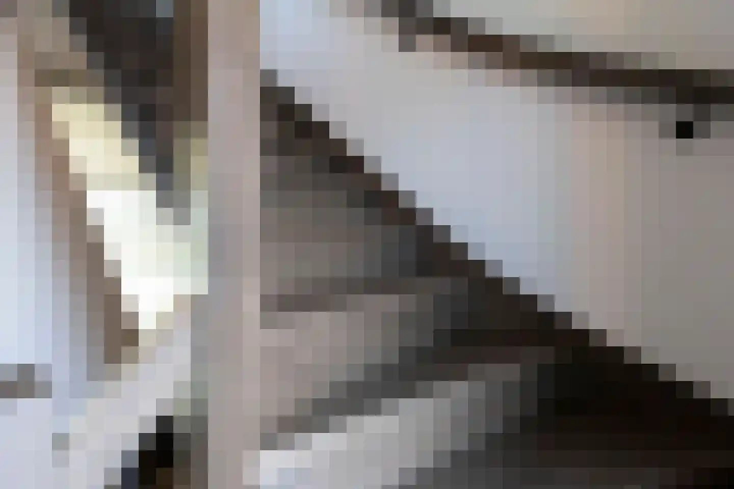 Teunestraat 2 Ell thumbnail 29