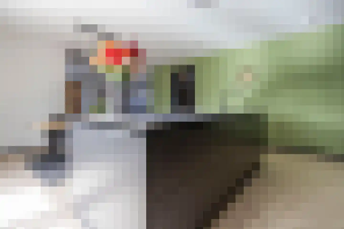 Teunestraat 2 Ell thumbnail 4