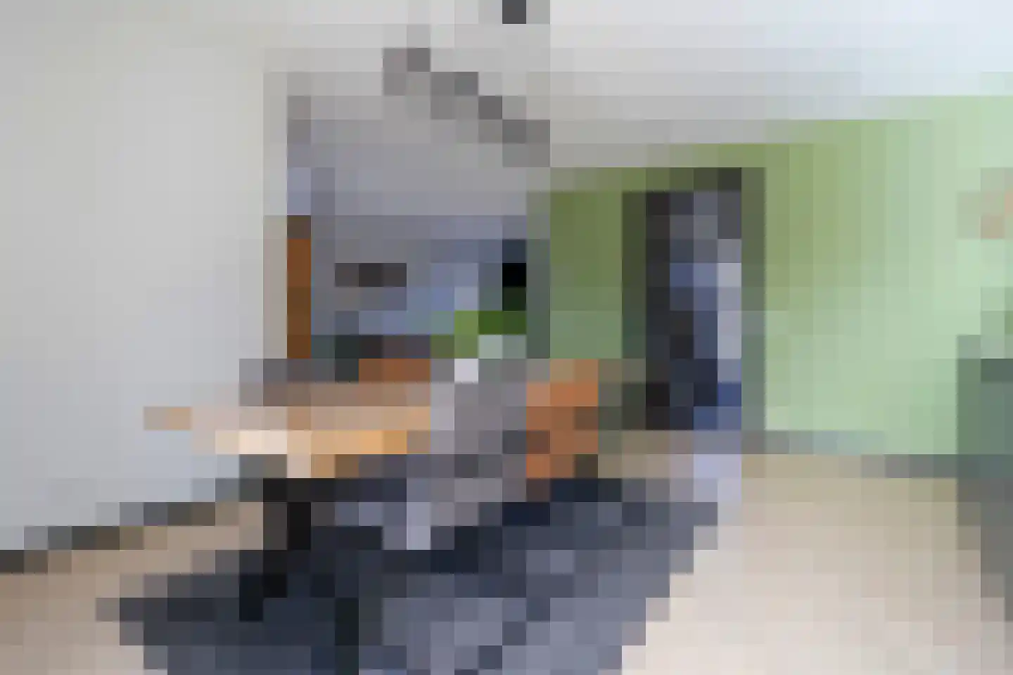 Teunestraat 2 Ell thumbnail 8