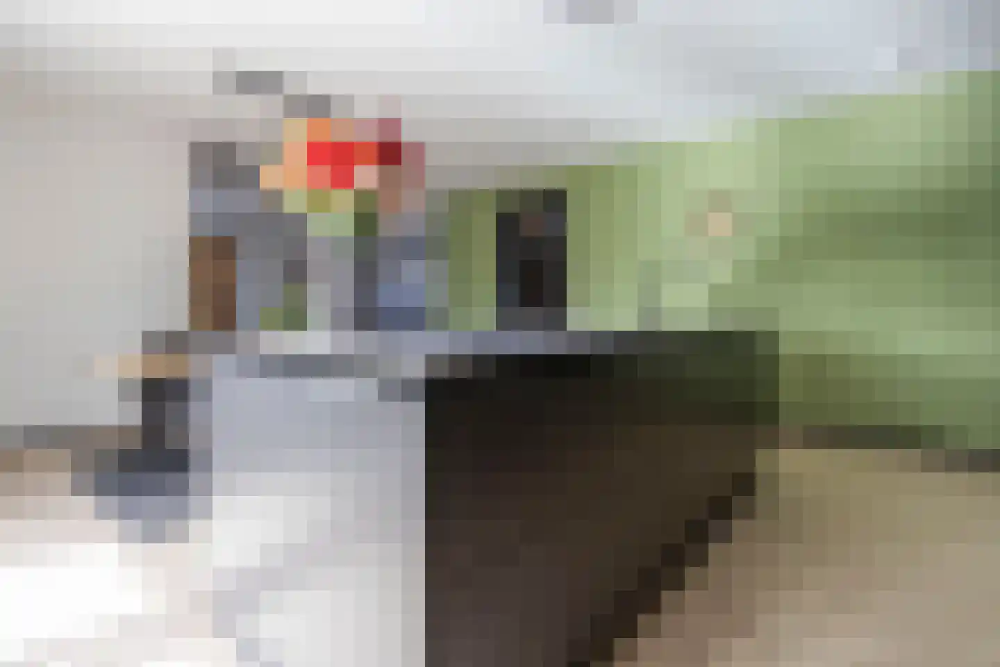 Teunestraat 2 Ell thumbnail 9
