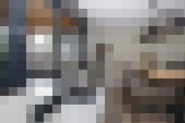 Teunestraat 20 Ell thumbnail 15