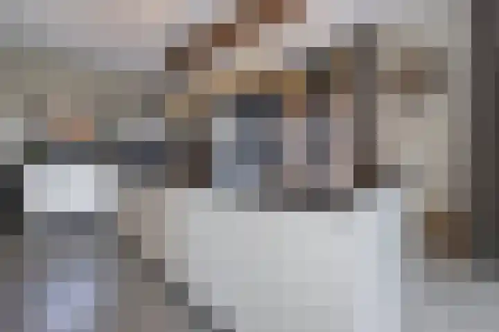 Teunestraat 20 Ell thumbnail 19