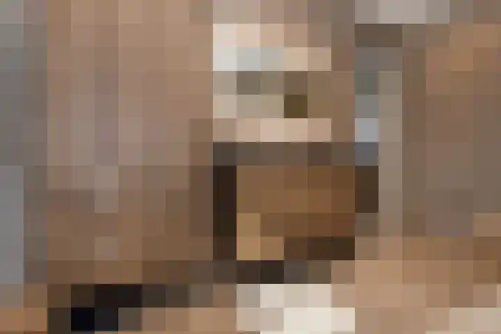 Teunestraat 20 Ell thumbnail 29
