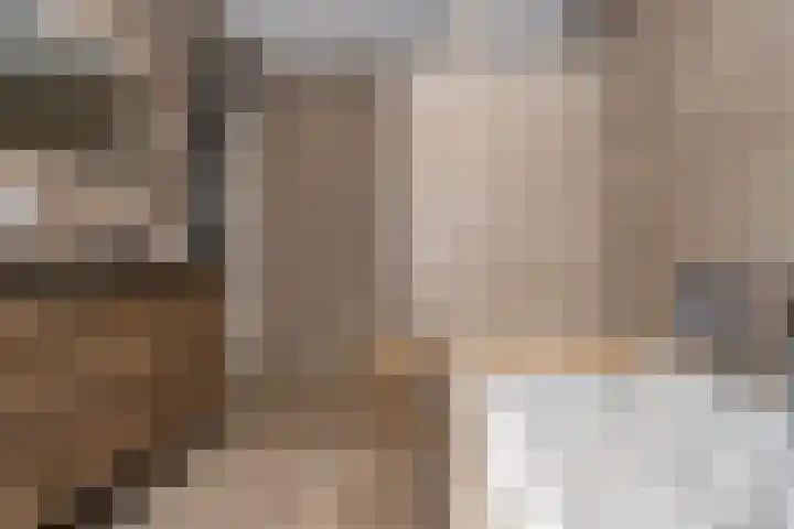 Teunestraat 20 Ell thumbnail 31
