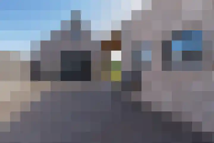 Teunestraat 20 Ell thumbnail 52