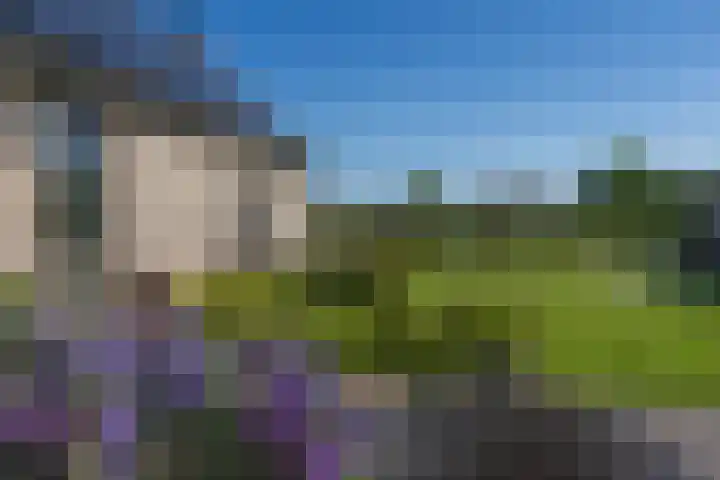 Teunestraat 20 Ell thumbnail 64