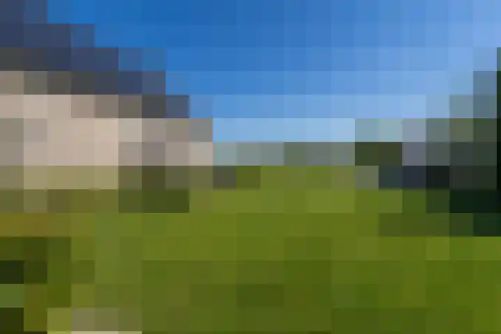 Teunestraat 20 Ell thumbnail 65
