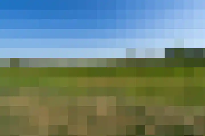 Teunestraat 20 Ell thumbnail 68