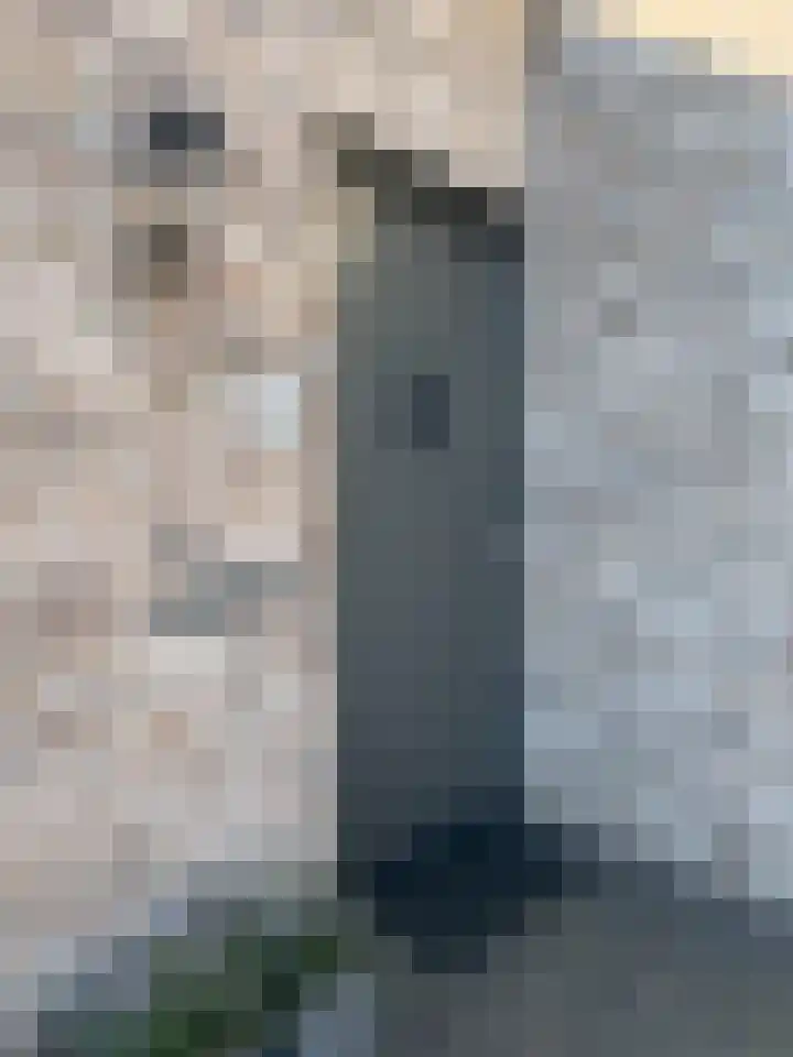 Teunestraat 20 Ell thumbnail 69