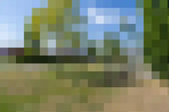 Teunestraat 20 Ell thumbnail 74