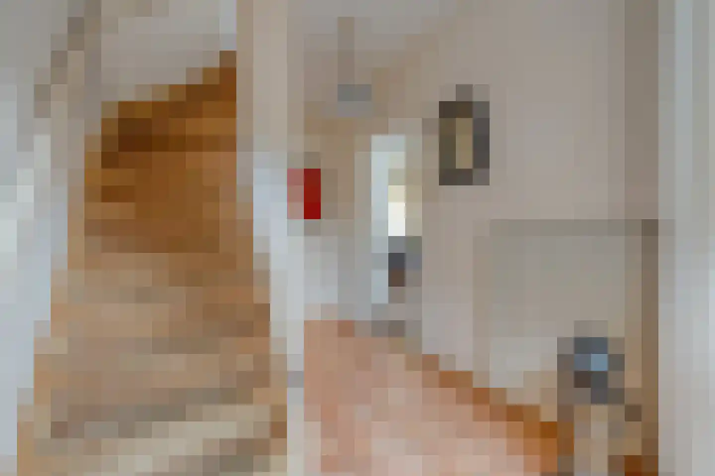 Teunis Lodderstraat 33 Rijssen thumbnail 28