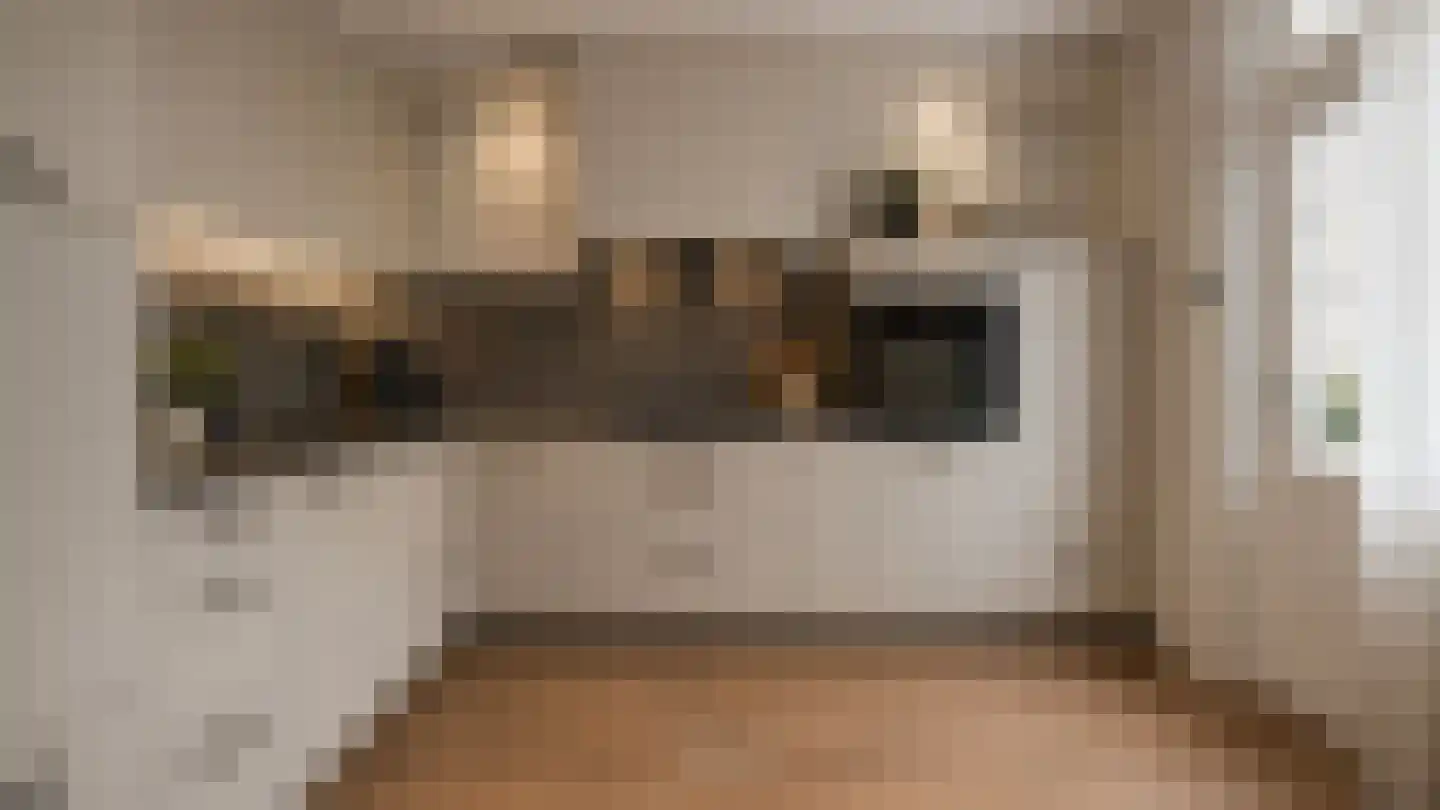 Teunis Lodderstraat 33 Rijssen thumbnail 5