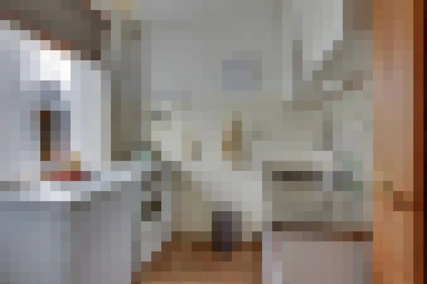 Teunis Lodderstraat 40 Rijssen thumbnail 6