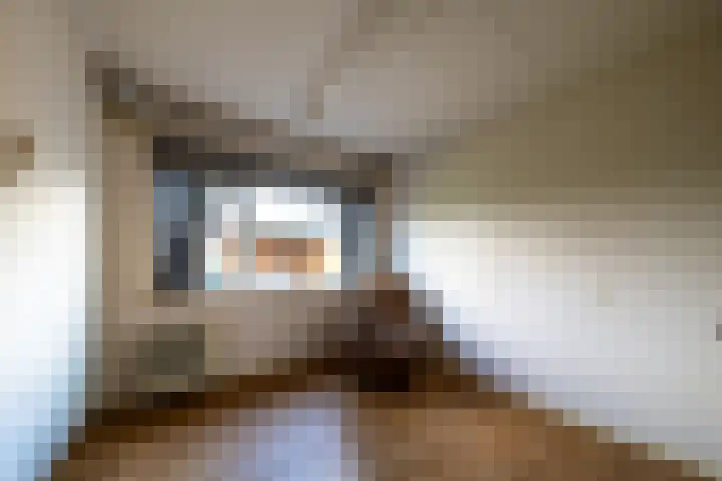 Teunis Lodderstraat 40 Rijssen thumbnail 9