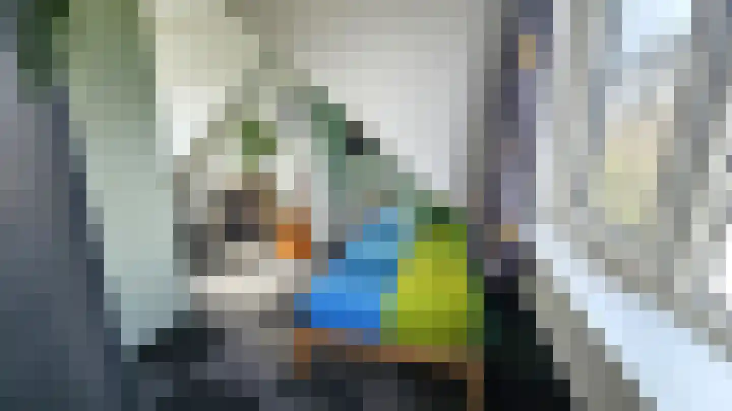 Teunis Slagterstraat 4 Westzaan thumbnail 33