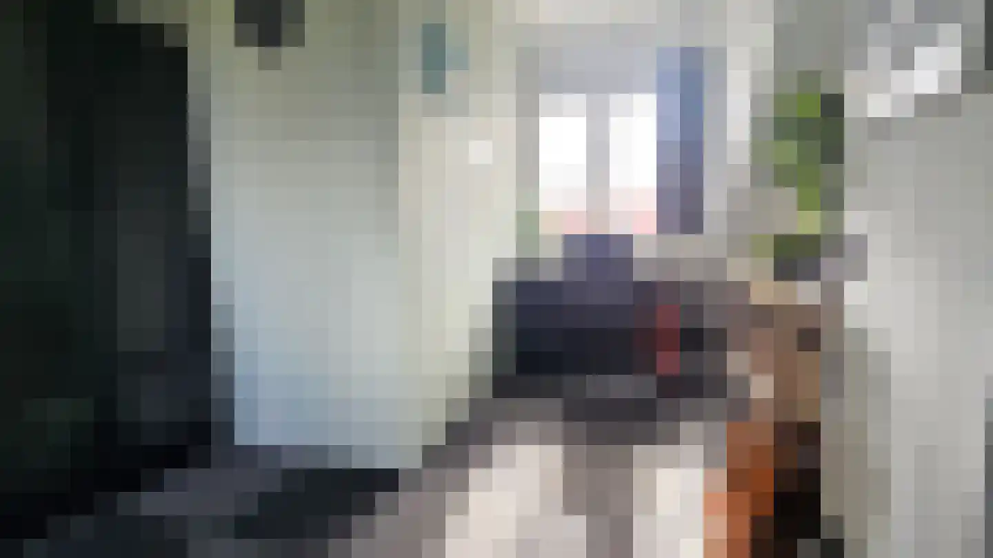 Teunis Slagterstraat 4 Westzaan thumbnail 34