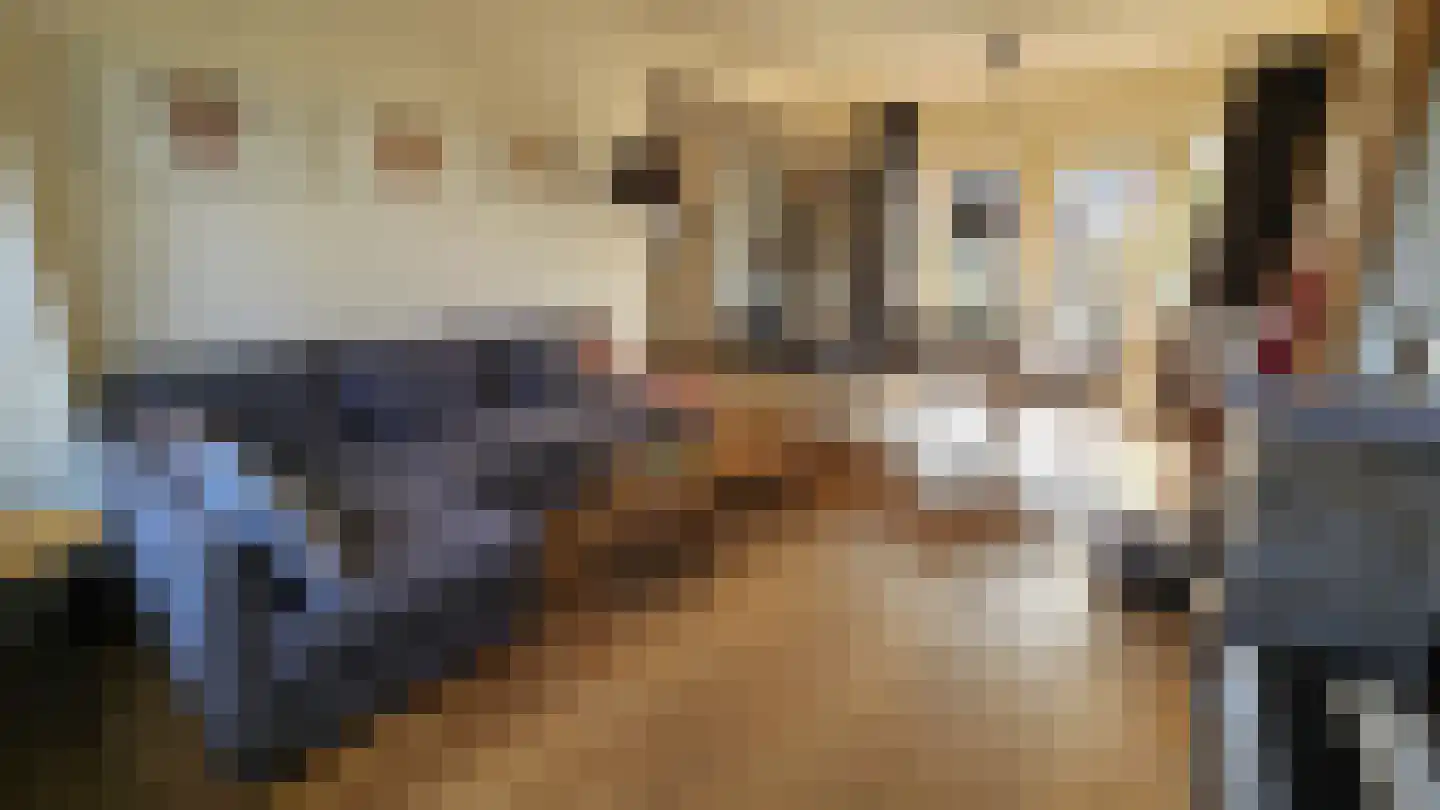 Teunis Slagterstraat 4 Westzaan thumbnail 5