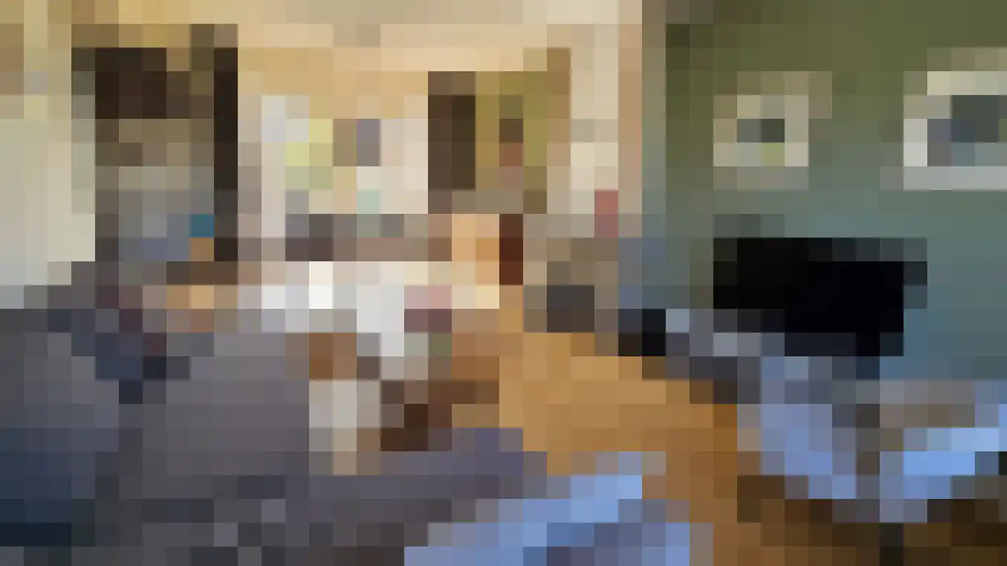 Teunis Slagterstraat 4 Westzaan thumbnail 6