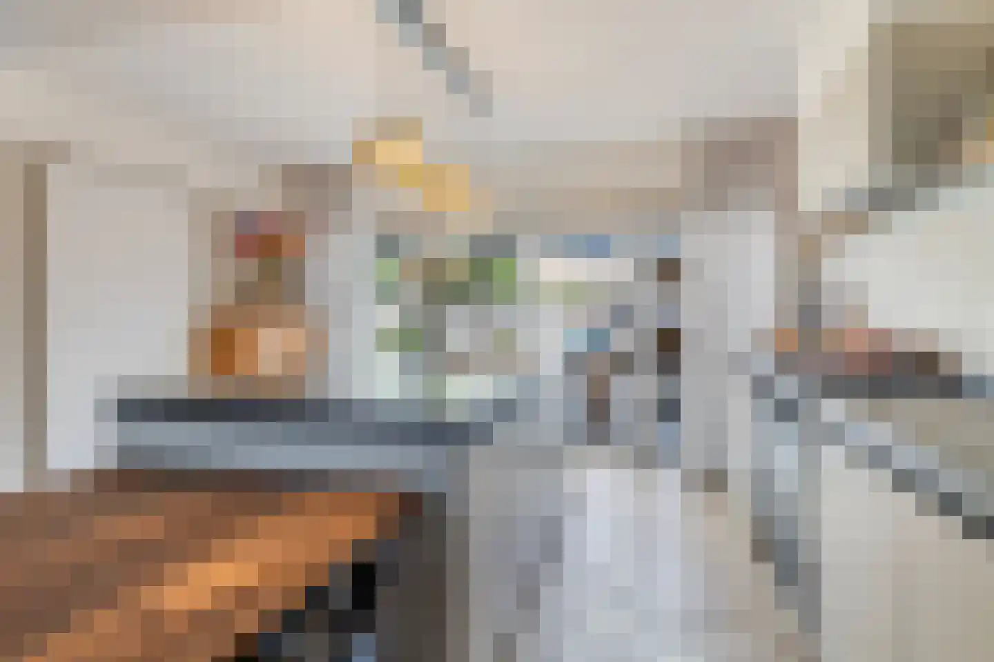 Teunis van Lohuizenstraat 25 Vaassen thumbnail 14