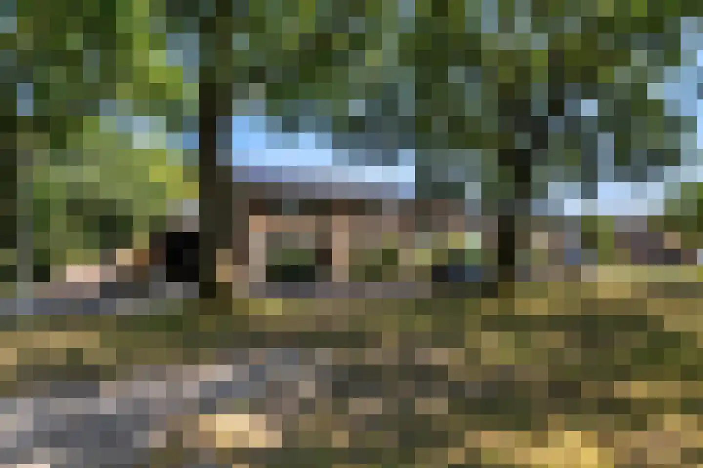 Teunis van Lohuizenstraat 25 Vaassen thumbnail 34