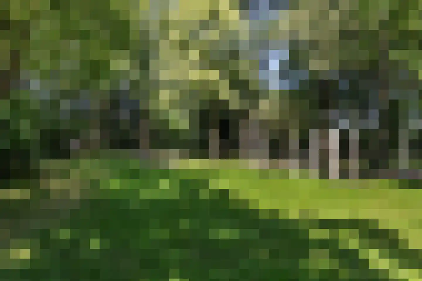 Teunis van Lohuizenstraat 25 Vaassen thumbnail 5