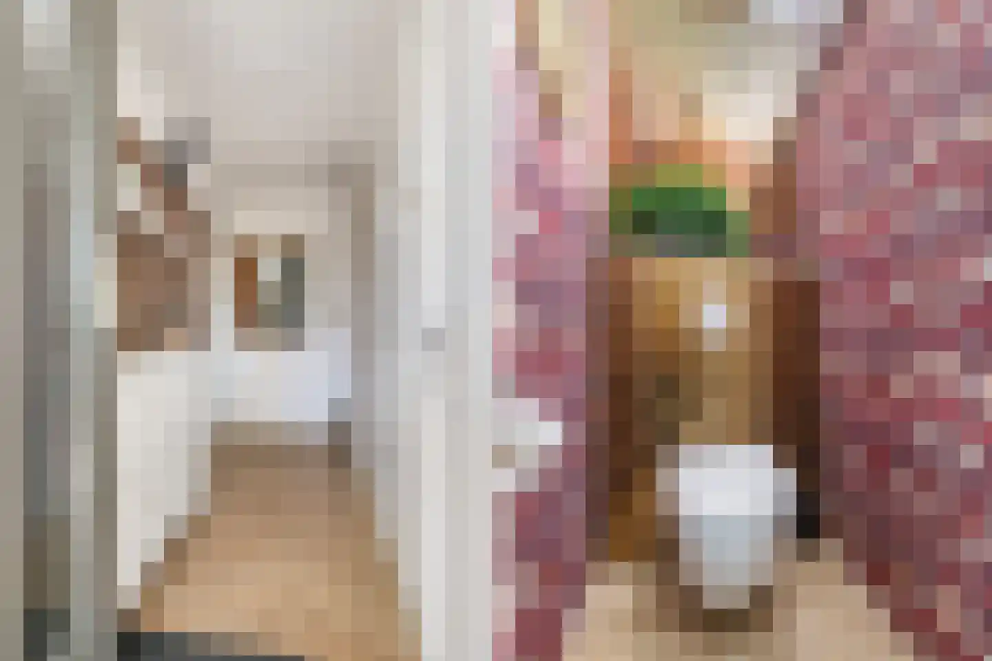 Teunis van Lohuizenstraat 25 Vaassen thumbnail 7