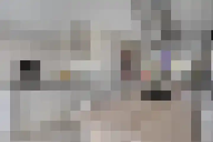 Teunisbloem 10 Eijsden thumbnail 10