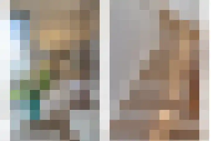 Teunisbloem 10 Eijsden thumbnail 15