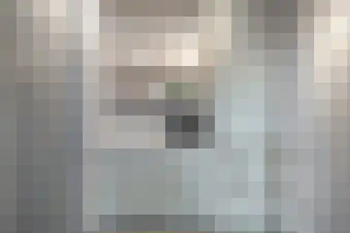 Teunisbloem 10 Eijsden thumbnail 16
