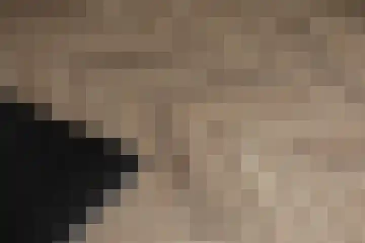 Teunisbloem 10 Eijsden thumbnail 19