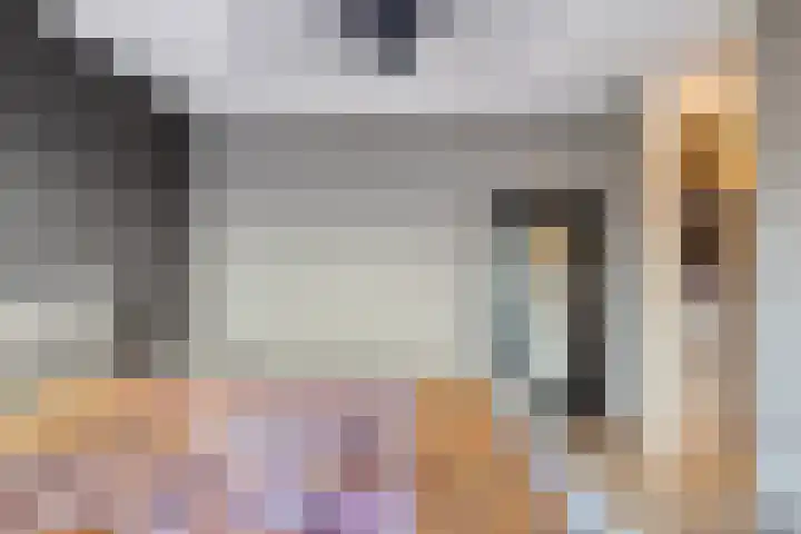 Teunisbloem 10 Eijsden thumbnail 20