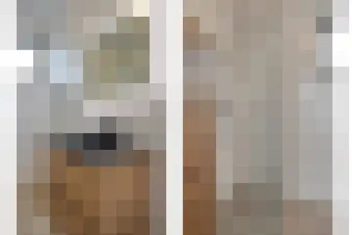 Teunisbloem 10 Eijsden thumbnail 23