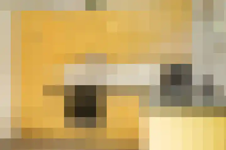 Teunisbloem 10 Eijsden thumbnail 25
