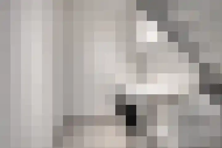 Teunisbloem 10 Eijsden thumbnail 28