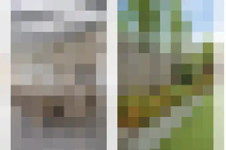 Teunisbloem 10 Eijsden thumbnail 35