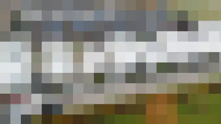 Teunisbloem 10 Eijsden thumbnail 37