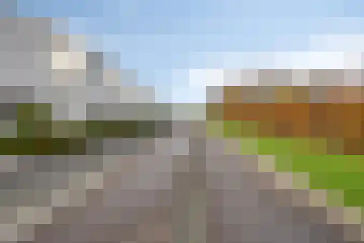 Teunisbloem 10 Eijsden thumbnail 43