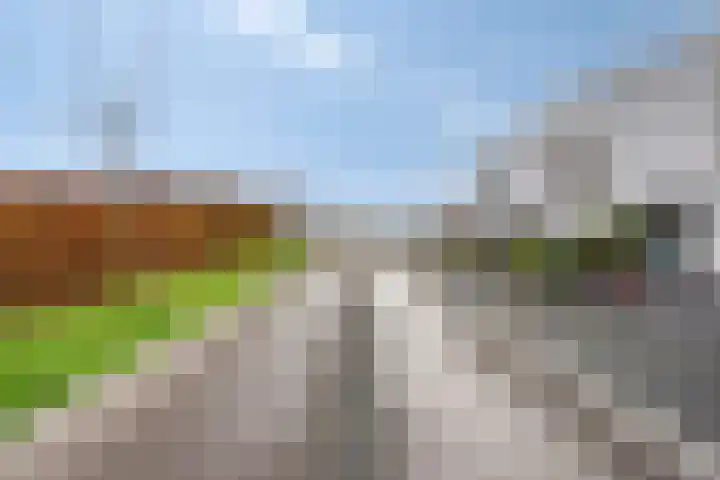 Teunisbloem 10 Eijsden thumbnail 44