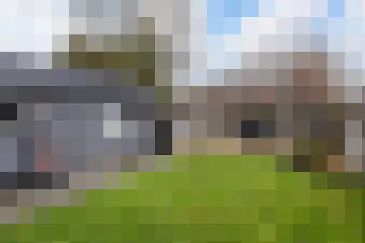 Teunisbloem 10 Eijsden thumbnail 5