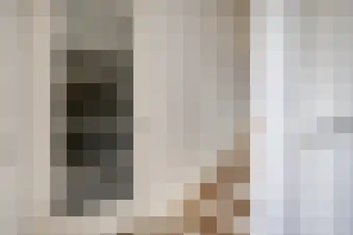 Teunisbloem 10 Eijsden thumbnail 5