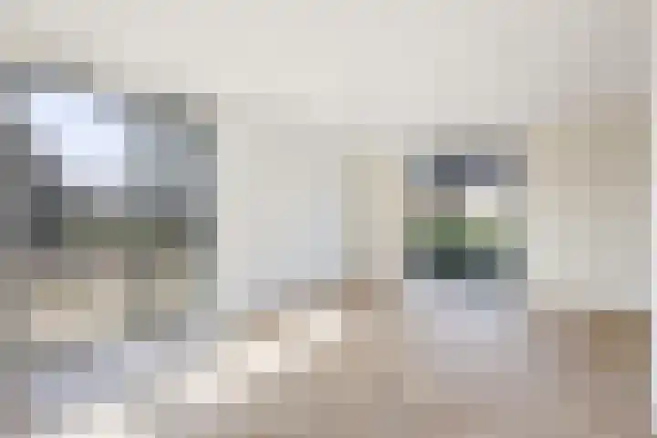 Teunisbloem 13 Stroe thumbnail 10