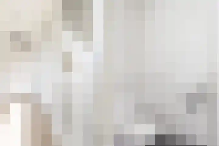 Teunisbloem 13 Stroe thumbnail 25