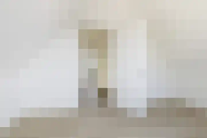 Teunisbloem 13 Stroe thumbnail 28